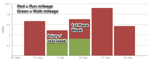 Graph of runs and walks for last 5 weeks